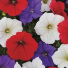 50 Red White Purple Mix Petunia Seeds Flowers Flower Seed Bloom 280 Fast Shipping 50 Red White Purple Mix Petunia Seeds Flowers Flower Seed Bloom 280 Fast Shipping