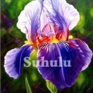 20 Seeds For Purplemulti Iris Rare Flower Exotic Bloom Garden Plant Fast Shipping 20 Seeds For Purplemulti Iris Rare Flower Exotic Bloom Garden Plant Fast Shipping