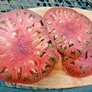 51Cherokee Purple Tomato Seeds Organic Native Heirloom Summer Garden Container Fast Shipping 51Cherokee Purple Tomato Seeds Organic Native Heirloom Summer Garden Container Fast Shipping