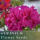 100 Geranium Seeds Berry Quartz Fragrant Fresh Flower Seeds Non Gmo Fast Shipping