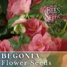 Vintage Grace Begonia Seeds 45 Or 125 Seeds Flower Flower Seeds Non Gmo Fast Shipping Vintage Grace Begonia Seeds 45 Or 125 Seeds Flower Flower Seeds Non Gmo Fast Shipping