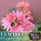 Pinkie Lewisia Seeds 35 Or 100 Seeds Flower Flower Seeds Non Gmo Garden Fast Shipping Pinkie Lewisia Seeds 35 Or 100 Seeds Flower Flower Seeds Non Gmo Garden Fast Shipping