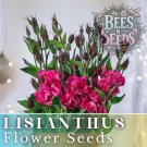 Raspberry Dalliance Lisianthus Seeds 1255000 Seeds Flower Seed Non Gmo Heirloom Fast Shipping
