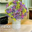Statice Seeds 85 Seeds Serenade Mix Flower Seed Flowers Garden Non Gmo Fast Shipping Statice Seeds 85 Seeds Serenade Mix Flower Seed Flowers Garden Non Gmo Fast Shipping