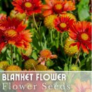 Blanket Flower Seeds 200 Seeds Ruby Red Shades Garden Bloom Annual Seeds Fast Shipping Blanket Flower Seeds 200 Seeds Ruby Red Shades Garden Bloom Annual Seeds Fast Shipping