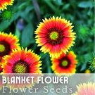 Blanket Flower Seeds 200 Seeds Aristata Mix Garden Bloom Annual Seeds Fast Shipping Blanket Flower Seeds 200 Seeds Aristata Mix Garden Bloom Annual Seeds Fast Shipping