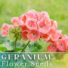 100 Geranium Seeds Peachy Keen Fragrant Fresh Flower Seeds Non Gmo Fast Shipping 100 Geranium Seeds Peachy Keen Fragrant Fresh Flower Seeds Non Gmo Fast Shipping