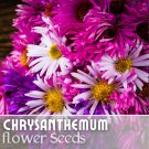 Easter Mix Mum Chrysanthemum Seeds 200 Seeds Mum Flower Flower Seeds Annual Fast Shipping