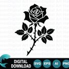 Black Rose SVG Silhouette with Stem and Leaves Vector Illustration Black Rose SVG Silhouette with Stem and Leaves Vector Illustration
