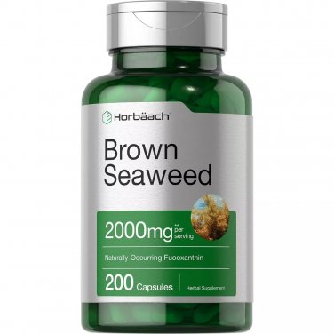 Horbaach Brown Seaweed Extract Capsules 2000mg | 200 Pills