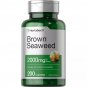 Horbaach Brown Seaweed Extract Capsules 2000mg | 200 Pills