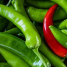 200 Seeds Serrano Hot Pepper Seeds Nongmo Garden Seeds