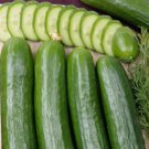 300 Seeds Cucumber Seeds Straight Eight 8 Vegetable Heirloom Award Winner