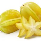Sour Star Fruit Averrhoa Carambola 5 Seeds Garden Planting