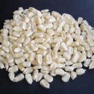 75 Seeds Corn Popcorn White Pop Corn Garden Planting