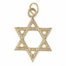   24k Gold plated Star of David Pendant or Charm