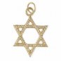   24k Gold plated Star of David Pendant or Charm