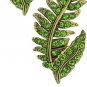 Heidi Daus Leaf Le-FERN Crystal Fern LEAF Pierced Earrings Spring Green NWT