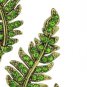 Heidi Daus Leaf Le-FERN Crystal Fern LEAF Pierced Earrings Spring Green NWT