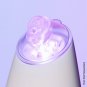Beautybio glofacial replacement tips (1) Small tip, (1) Large tip (1) Brush