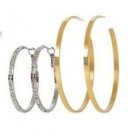 Stainless Steel Hoop Duo