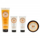 Perlier Agrumarium 4-Piece Holiday Bath and Body Kit-No Box Perlier Agrumarium 4-Piece Holiday Bath and Body Kit-No Box