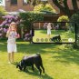 SoloCam S220, Solar Security Camera, Wireless Outdoor Camera, 1-Cam Pack, New