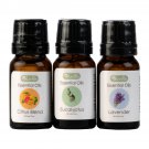 LivePure Essential Oils Variety 3-pack - Eucalyptus - Citrus - Lavender. New LivePure Essential Oils Variety 3-pack - Eucalyptus - Citrus - Lavender. New
