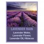 Tweak&acirc;��d By Nature Lavender Rain Cleansing Volumizing Scrub 16.0 Fl Oz