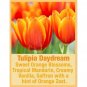 Tweak'd By Nature Stimulating Scalp Therapy Serum-Choose Your Scent-