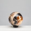 Kalifano 5" Brown Petrified Wood Sphere Black #PWSP200BK NIB
