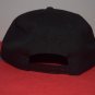 Disney X New Era Donald Duck Cartoon Snapback Hat 9Fifty RARE not DVD VHS Mickey