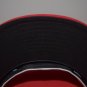 LMB New Era Aguila de Veracruz Fitted Hat SAMPLE Mexican Baseball Not MLB LA