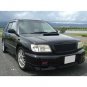 Subaru Forester 2001-2002 Mesh Grille
