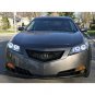 Acura TL 2009-2011 Mesh Grille