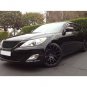 Hyundai Genesis 2009-2014 Sedan Mesh Grille
