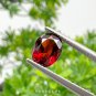 Red Garnet 1.90 ct