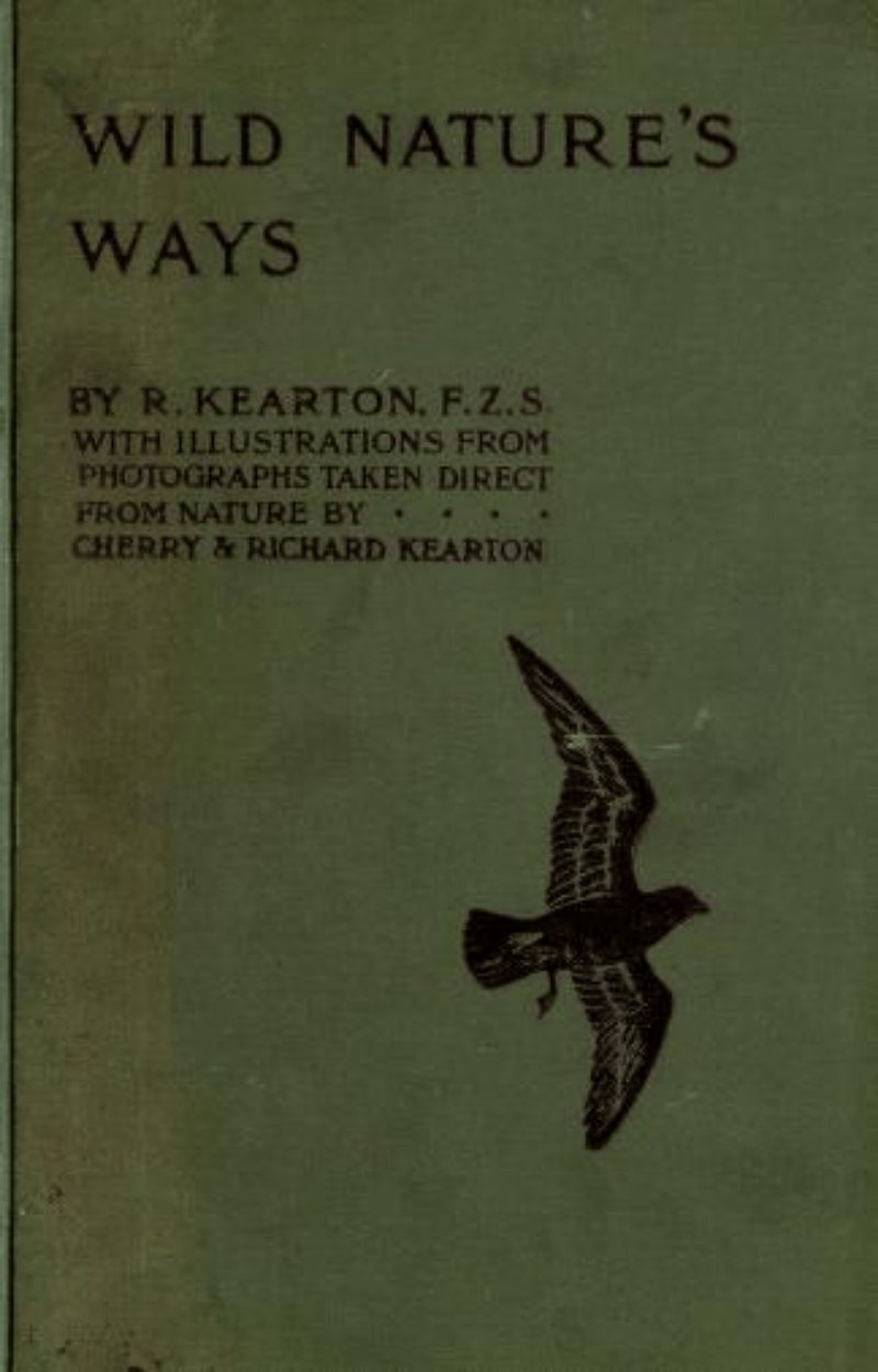 Wild Nature's Ways &acirc;�� Richard Kearton (1909, Illustrated Natural History & Wildlife Book)