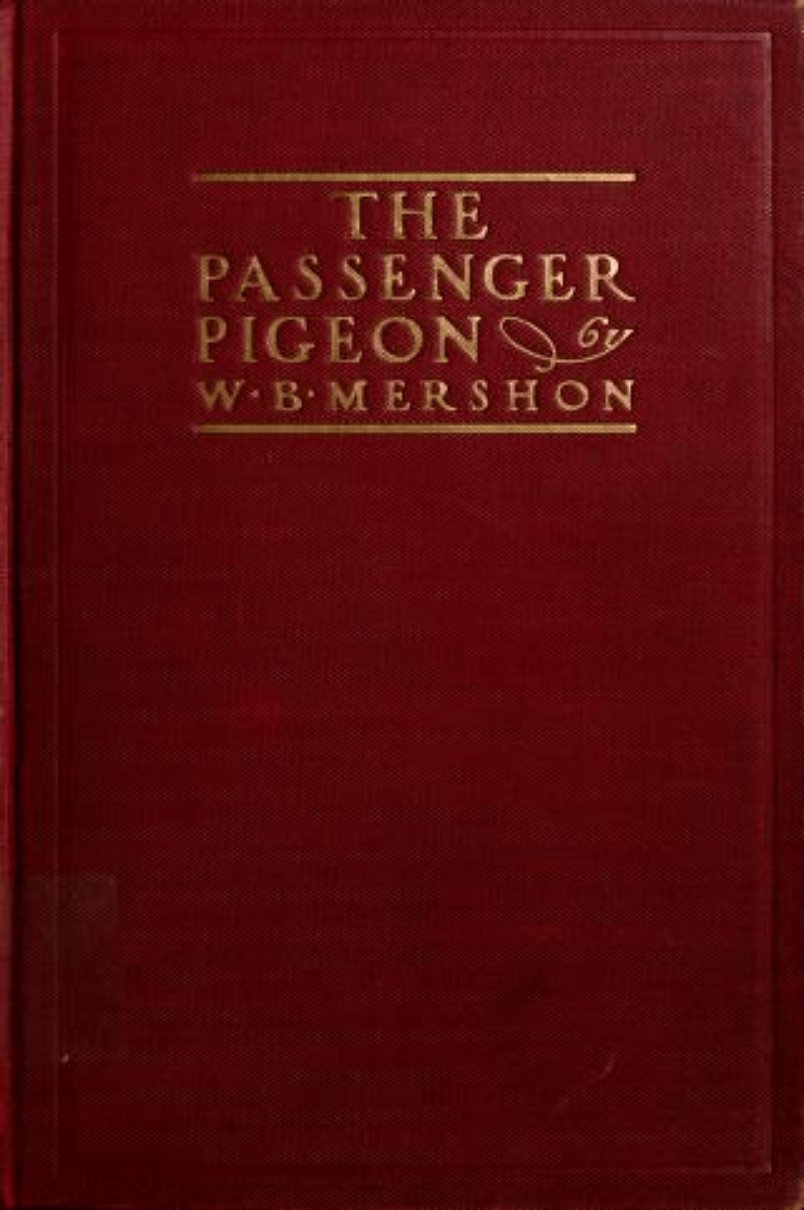 The Passenger Pigeon &acirc;�� W. B. Mershon (1907, Rare Ornithology & Natural History Book)