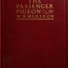 The Passenger Pigeon – W. B. Mershon (1907, Rare Ornithology & Natural History Book)