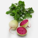 100 Watermelon Radish Seeds Non Gmo Heirloom Organic