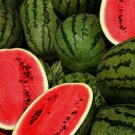 50 Kleckley'S Sweet Watermelon Seeds Large & Super Sweet Heirloom