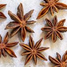 Illicium Verum 20 Seeds Fragrant Chinese Star Anise Shrub Tree Badian Spice Heirloom Seeds