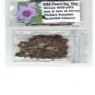 25 Seeds Of Wild Pinkish Purple Mini Flowering Pretty Vine Heirloom Seeds