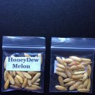 Honey Dew Melon Plant 25 Seeds Heirloom Seeds