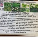 8 Seed Mints: Mojito Pine Choc Pepperm Lemon Kentuckcolonl Apple Orange 10 Heirloom Seeds 8 Seed Mints: Mojito Pine Choc Pepperm Lemon Kentuckcolonl Apple Orange 10 Heirloom Seeds