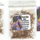 Purple Daisy Aster Perennial Flower Over 50 Seeds Heirloom Seeds