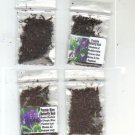 Butterfly Buddleia Bushes Combo 2 Purple 2 Fushia 200 Seeds Heirloom Seeds