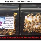 Rose Of Sharon White Cherry Ctr Flower Seeds Total 50 Seeds Grown Heirloom Seeds
