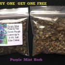 Dark Purple Mint Basil Herb Plant Over 200 Seeds Heirloom Seeds